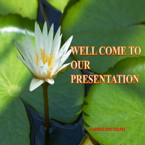 Environment pollution of Bangladesh PPP