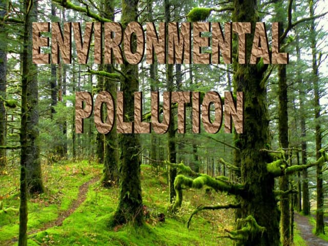 Environment ppt
