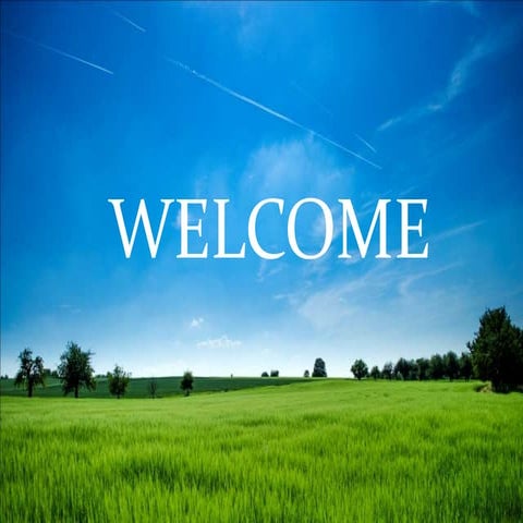 principles of environment