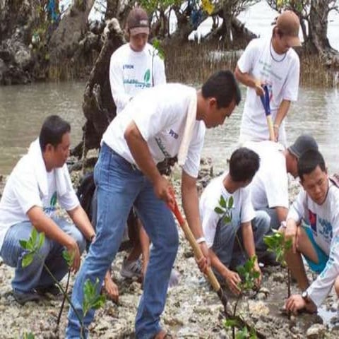 Environmental Science