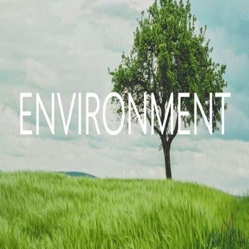 Envoirnment by M.Sohail Riaz