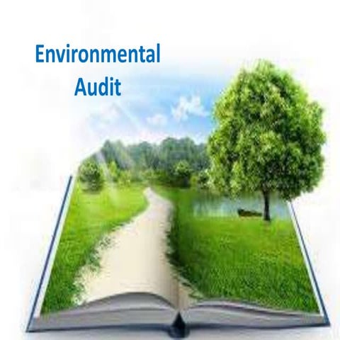 Environmental Audit