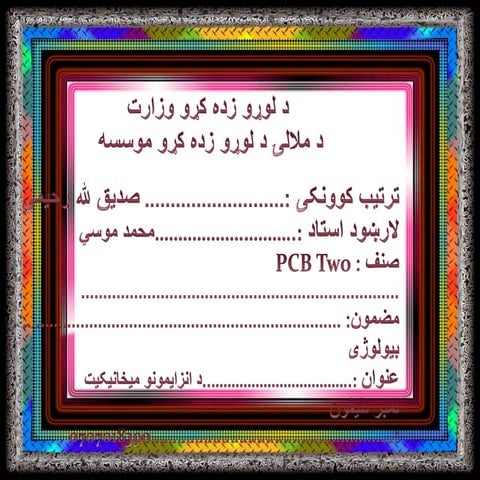 Enzaym presentation pcb 2