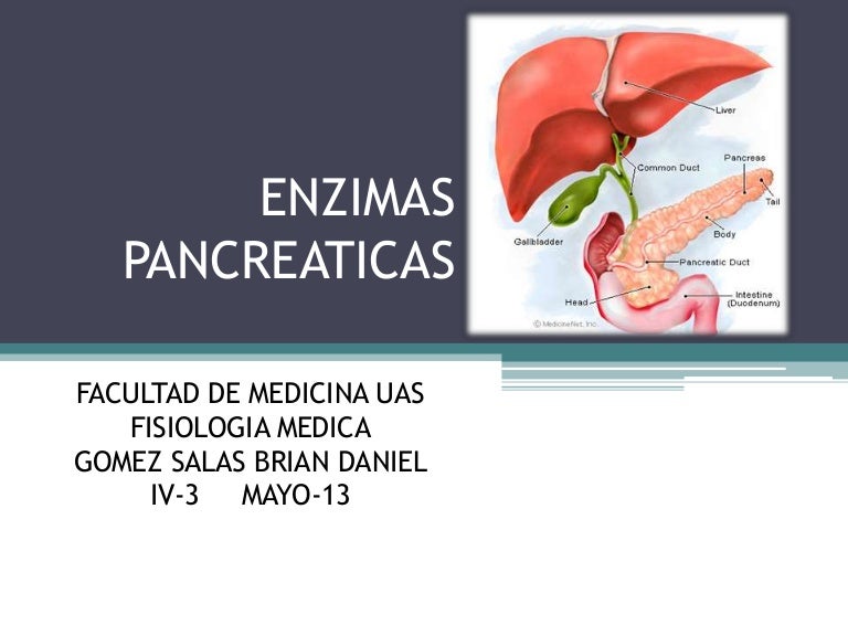 Enzimas pancreaticas Enzimas pancreaticas