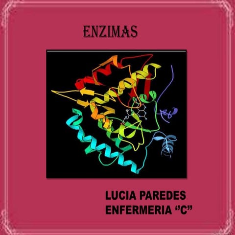 Enzimas