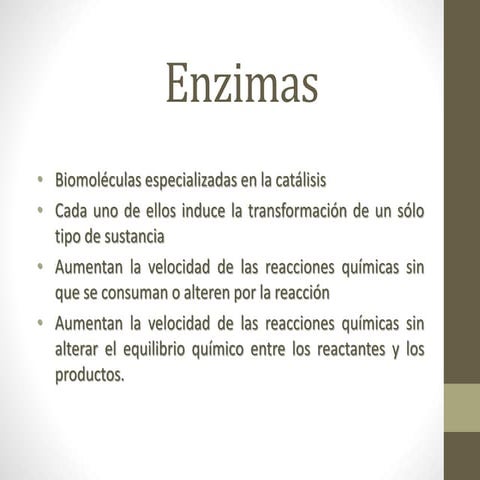 Enzimas, función, estructura y clasificación