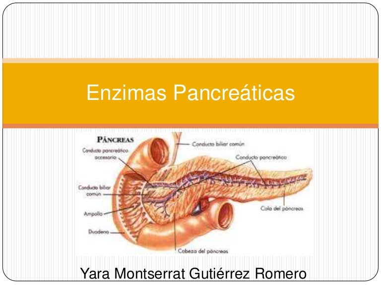 Enzimas pancreáticas