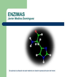 Enzimas