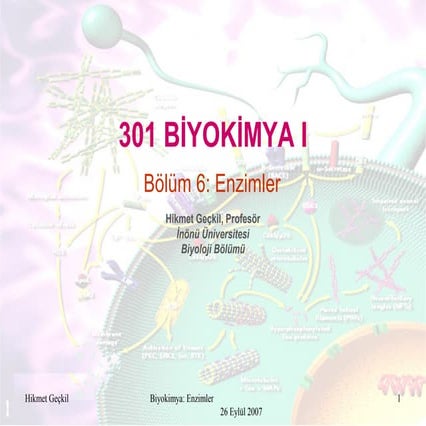 Biyokimya- Enzimler