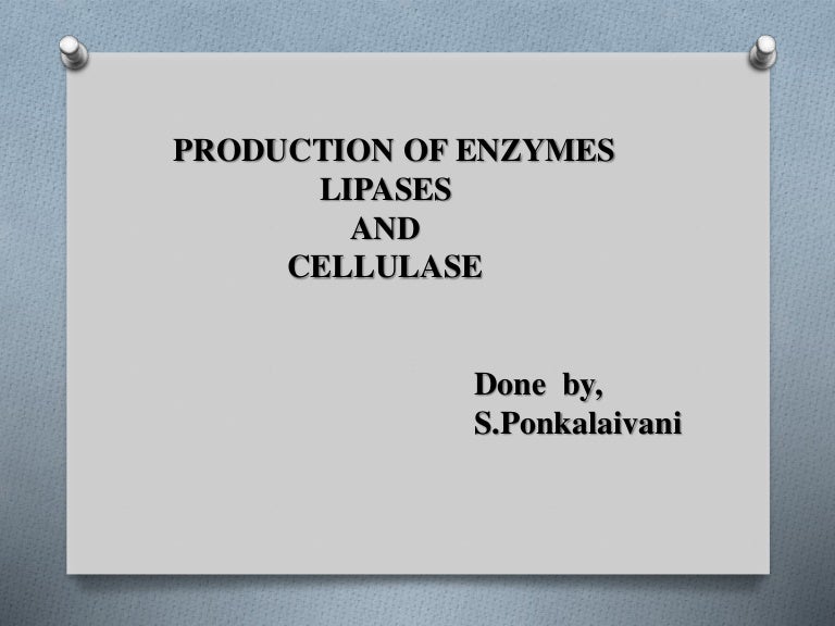 Production of lipases and cellulase