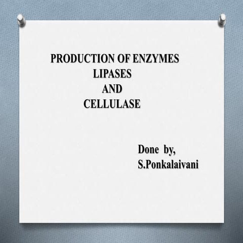 Production of lipases and cellulase