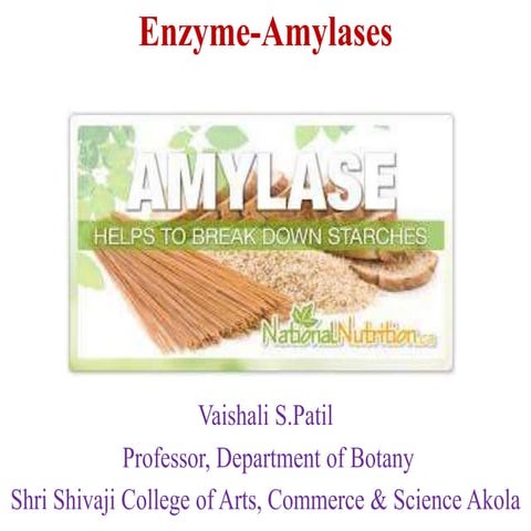 Enzyme amylases