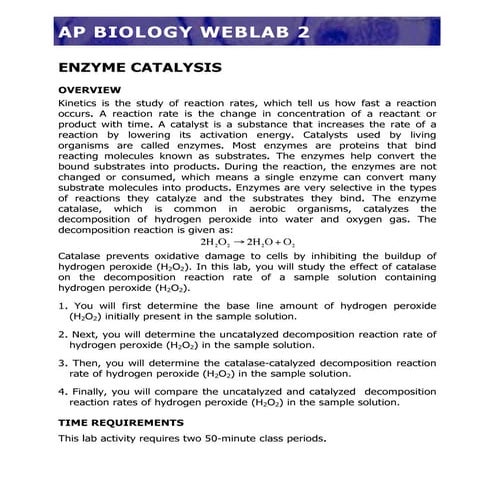 Enzyme catalysis online worksheet | PDF