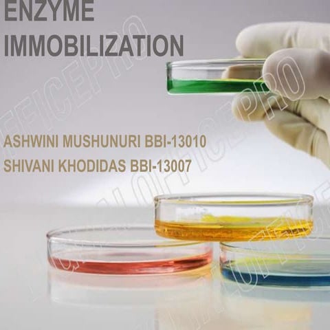 Enzyme immobilization