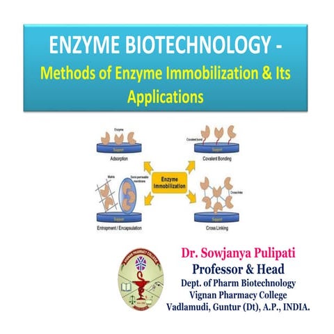 Enzyme immobilization