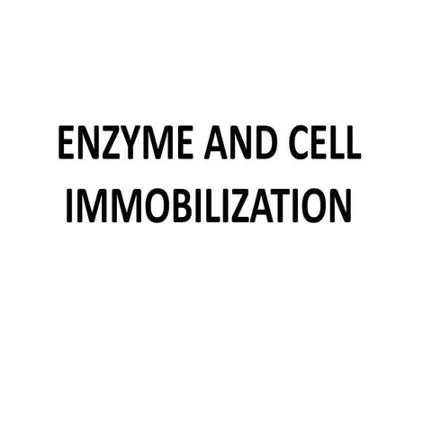 Enzyme_Immobilization.pptxmxn vnadnvadjsjcbx