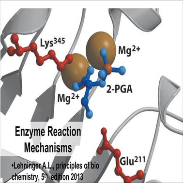 2.Enzyme React Mech/ jkbbnbajbcb nbnmb,kvjjbskvmbsfv,fkvjbvfkjbvkdjfbvdfvb