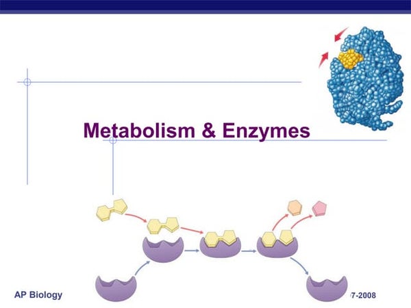 Enzymes