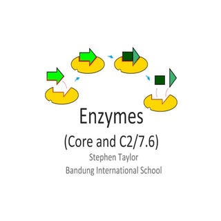3.6 Enzymes (Core and C2/7.6) 