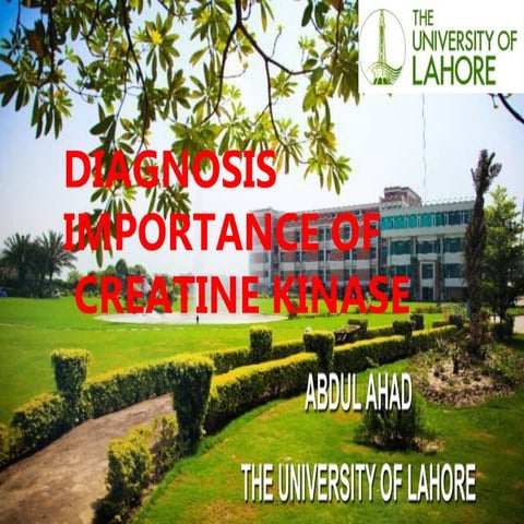 important of creatine kinase enzyme