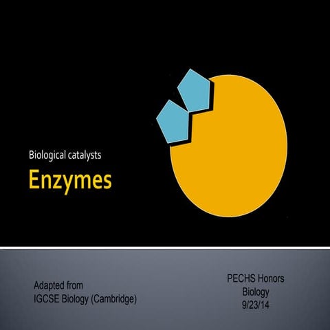 Enzymes