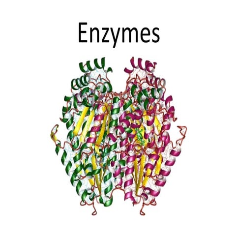 Enzymes