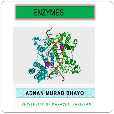Enzymes
