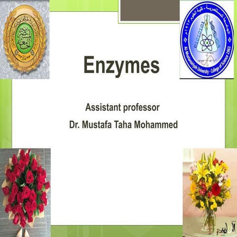   الانزيمات د.مصطفى طه محمد Enzymes