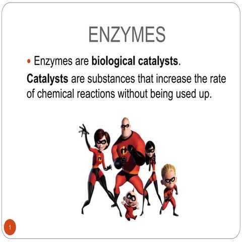 Enzymes