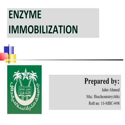 enzyme immobilization