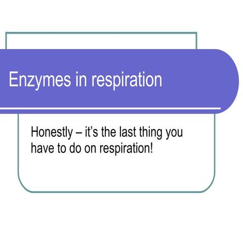Enzymes In Respiration