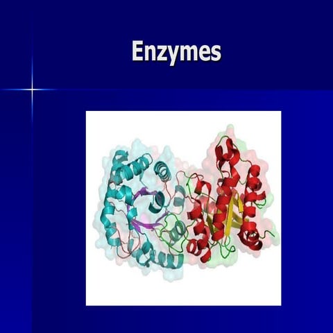 Enzymes   