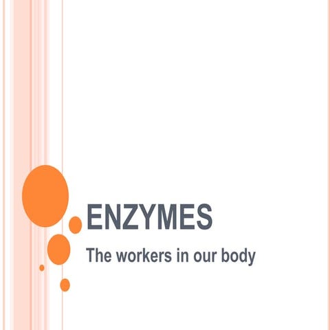 Enzymes 2018