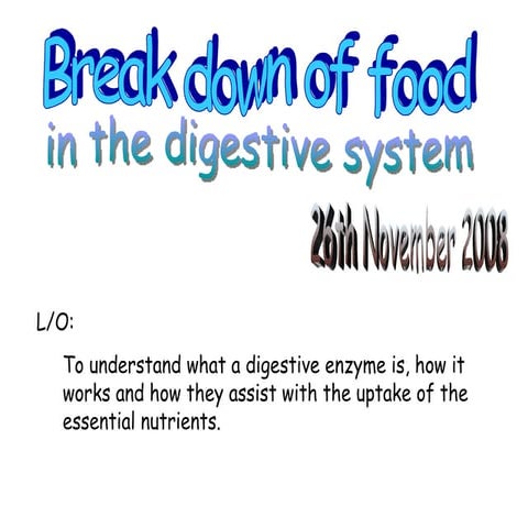Enzymes and digestion