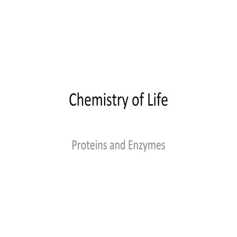 Enzymes and Proteins PowerPoint