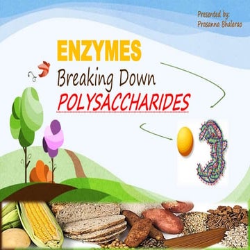 Enzymes breaking down polysachharides