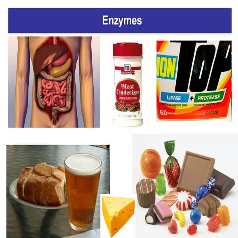 Enzymes 