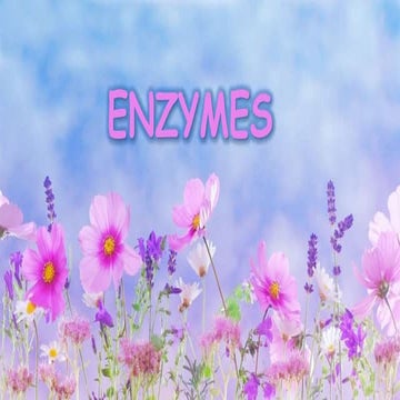 Enzymes in foods