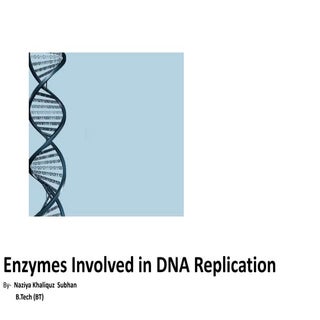 Enzymes involved in dna replication