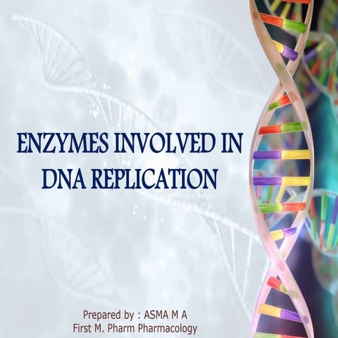 Enzymes involved in dna replication