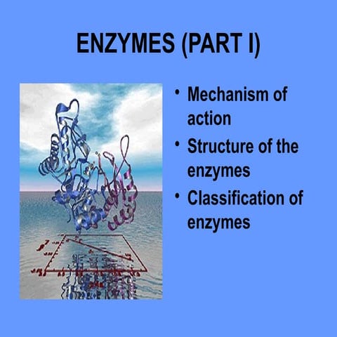 Enzymes Part~1