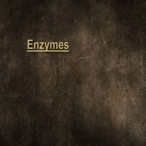 Enzymes (Definition, characteristics, mechanism action, activity, stability) ...