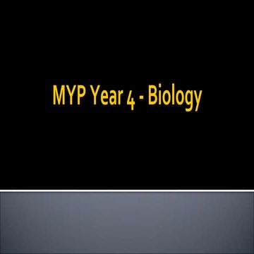 Enzymes Updated 2023.pptx