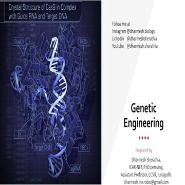 Enzymes used in genetic engineering