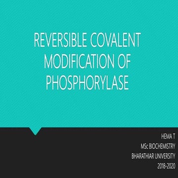  Phosphorylase enzyme 