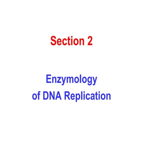 DNA polymerase proofreading and processivity.pptx