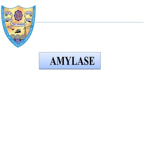 Presentation on Amylase enzyme 