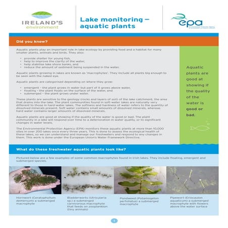 EPA Lake Monitoring Aquatic Plants Fact Sheet