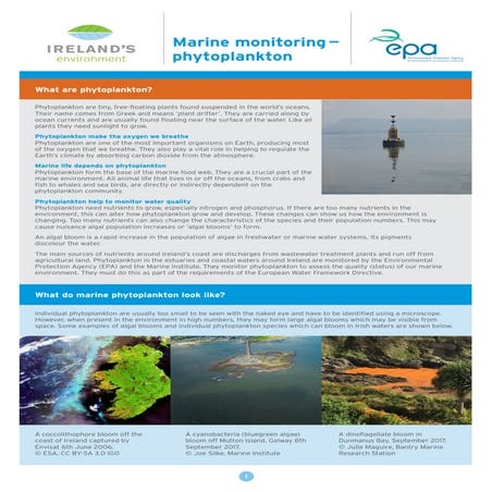 EPA Marine Phytoplankton Fact Sheet