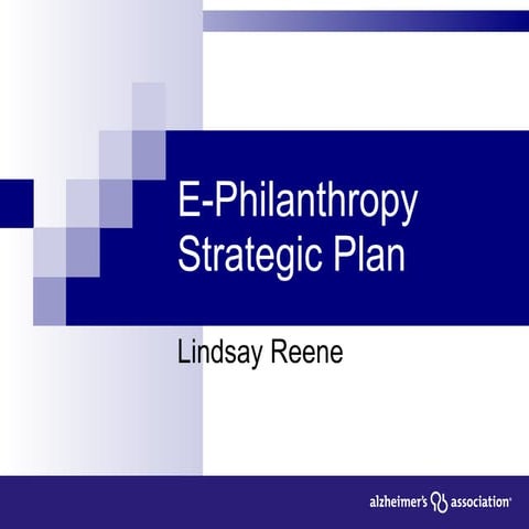 E Philanthropy Strategic Plan